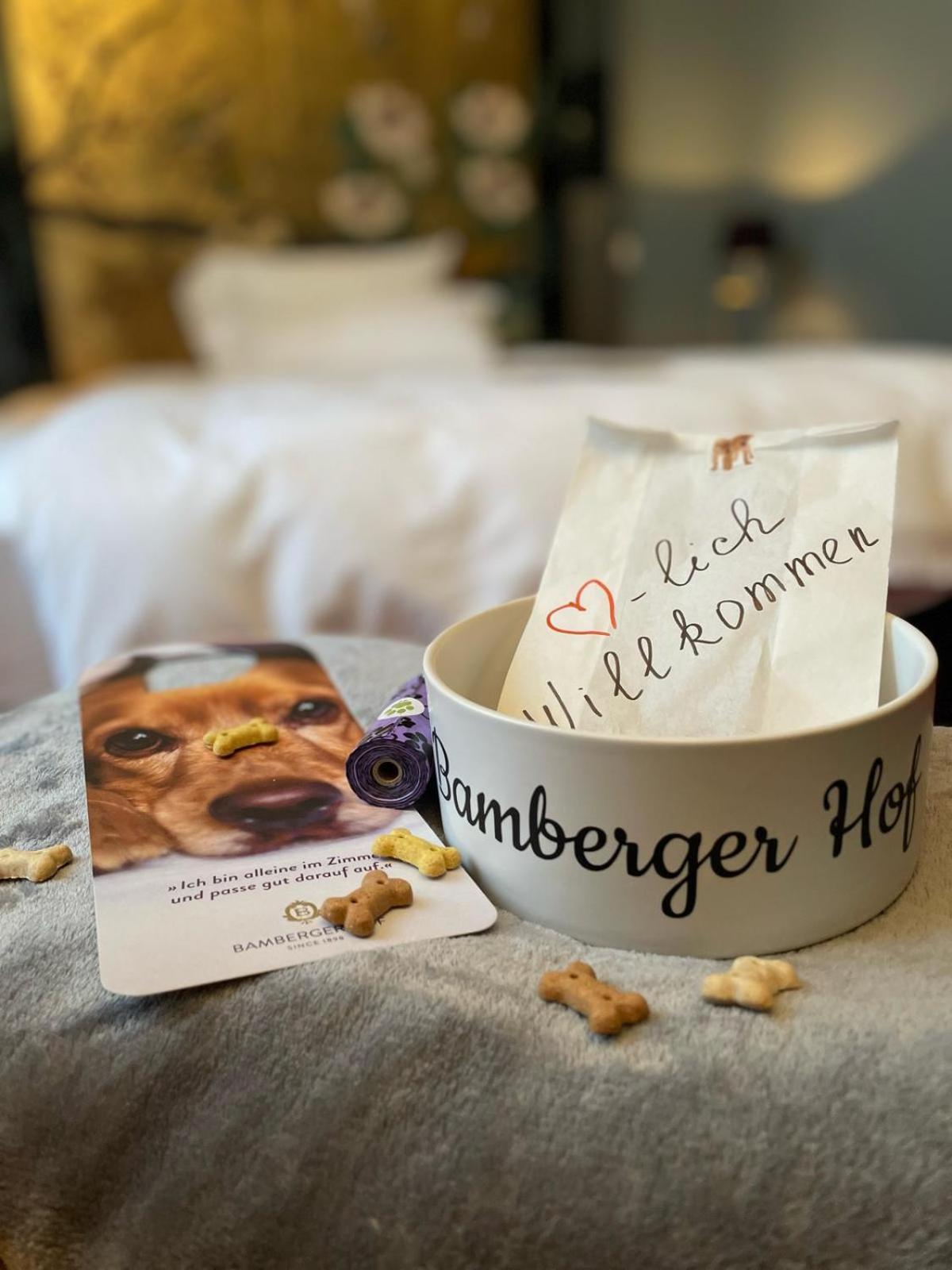 Hotel Bamberger Hof Bellevue 4*